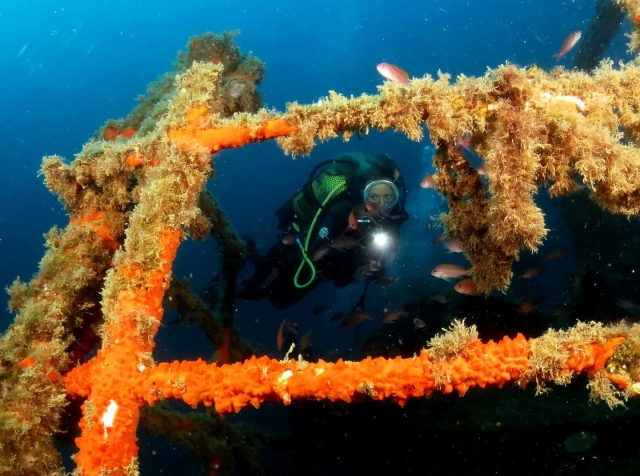  Die Tiefen der Costa Brava genießen 