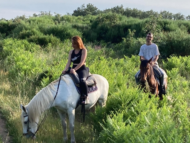 Cabalgamarra en Cáceres