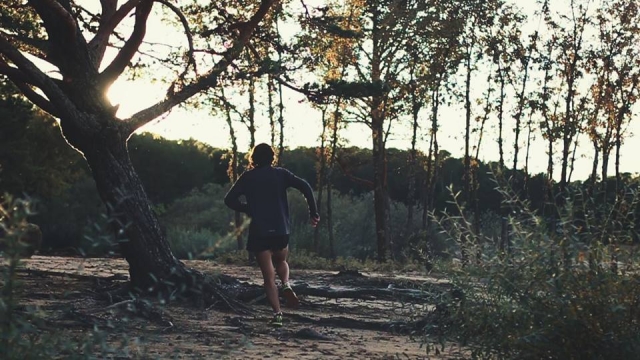 Recorrido de mountain running