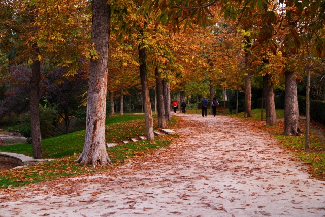 Tour por los caminos del Parque del Retiro