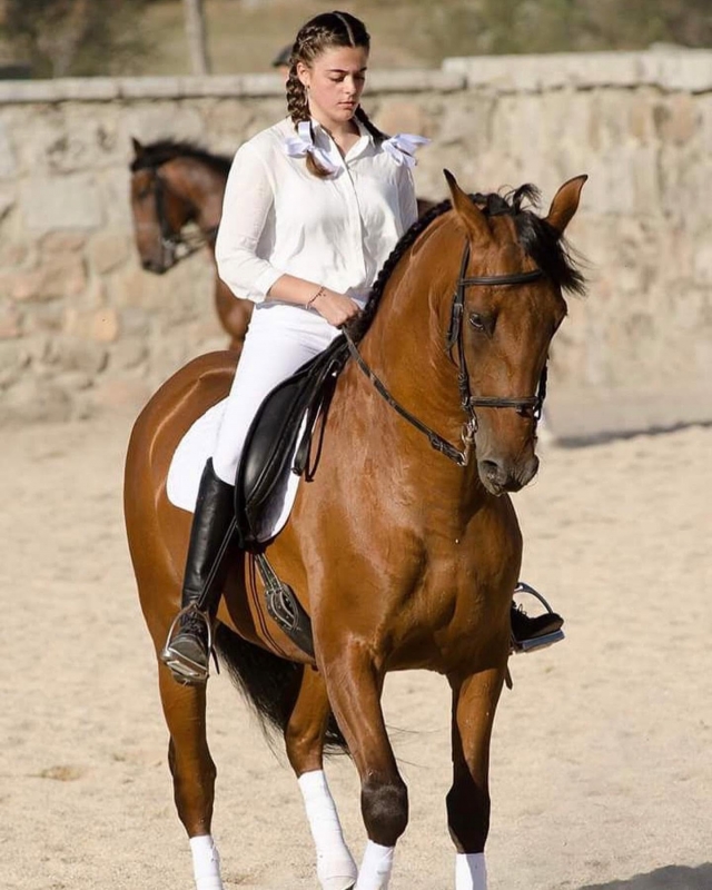  Équitation 