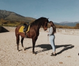 Cours d'équitation Sierra de Guadarrama 1 heure