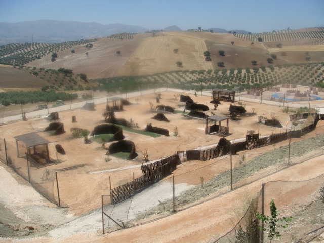 Campo de paintball