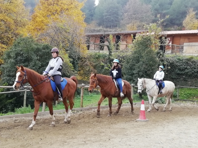 Guided route through Berguedà on horseback 