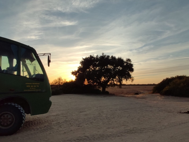  Coucher de soleil dans le parc 