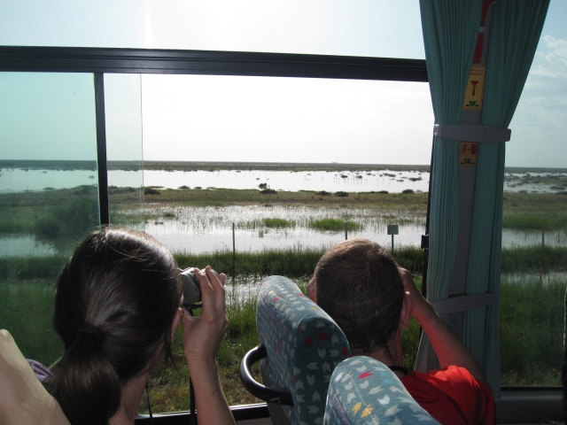Visite du Parc Naturel de Doñana 