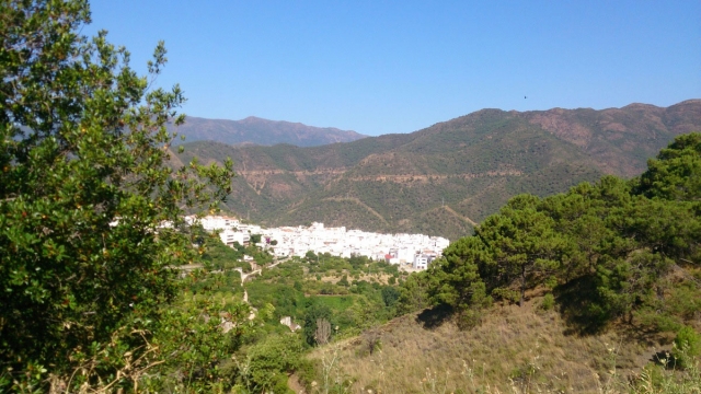  Hiking excursion through Málaga 