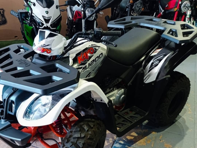 Quad preparati 