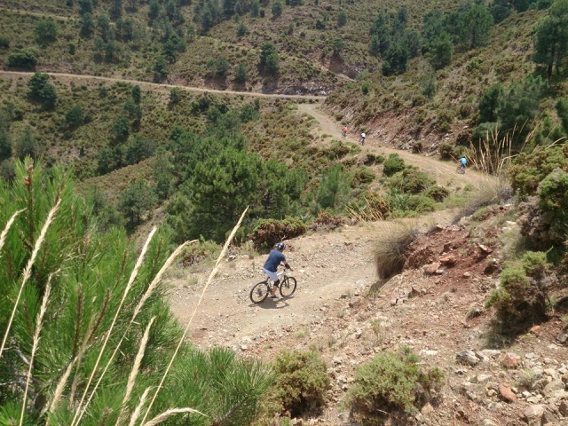  Sierra de las Nieves 自行车之旅 