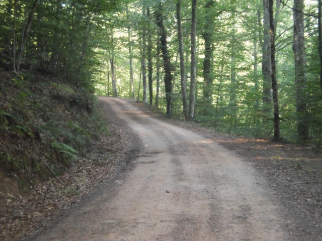 Ruta en BTT