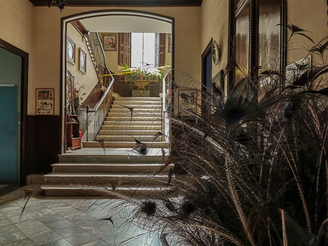 Casa