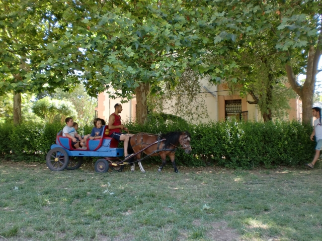 El carro de Sabina