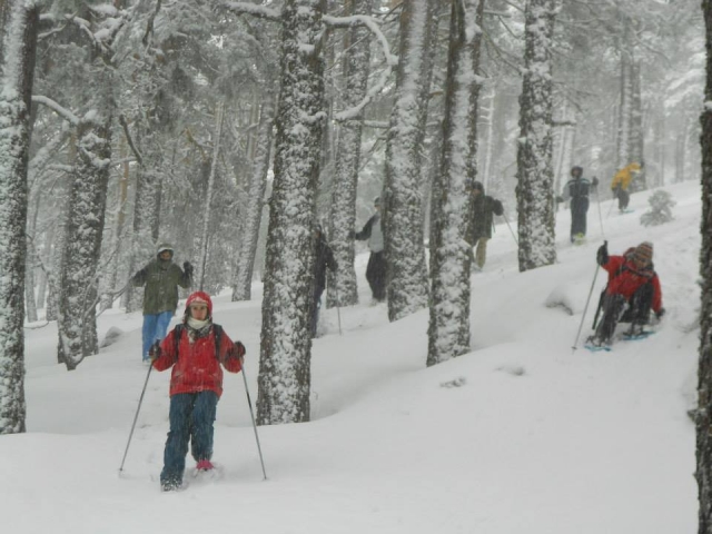  Schneeschuhe in Navacerrada 
