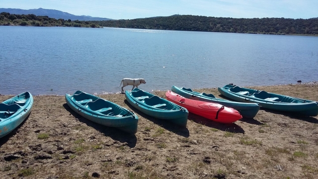  Réservoir d'eau calme en kayak