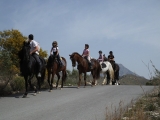 Ruta a Caballo Villajoyosa con Vistas al Mar 1h30'