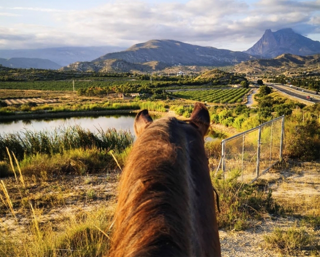 Cabalgamarra vistas a Platja Villajoyosa, 90min