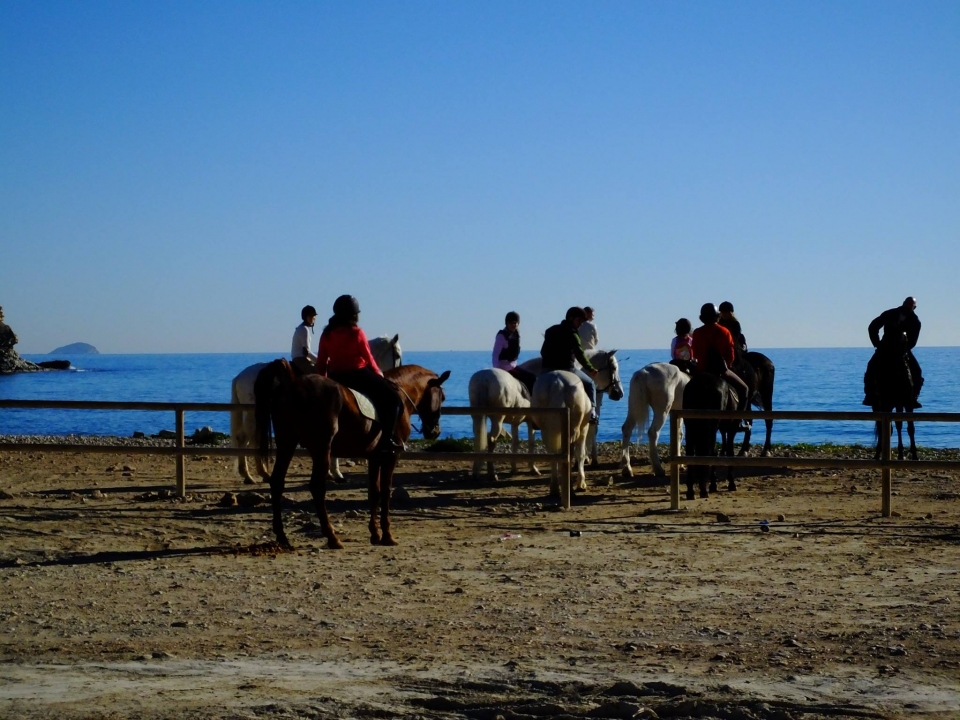 Itinerario a cavallo lungo i sentieri di Villajoyosa Itinerario a cavallo lungo i sentieri di Villajoyosa