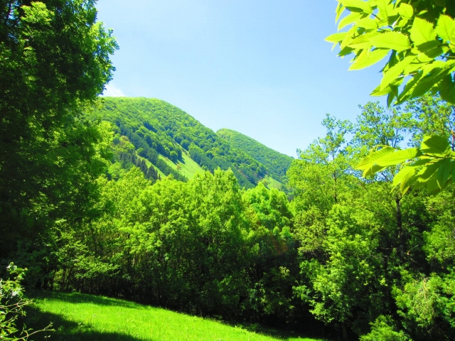 Il verde della valle navarrese 