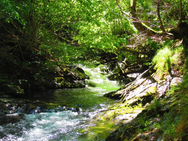  Cascate