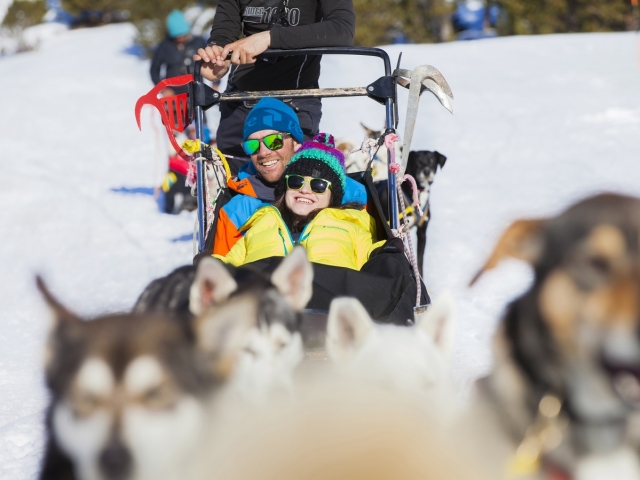  Genießen Sie den Mushing-Schlitten 