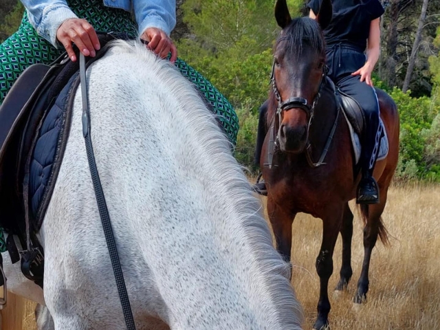  Reiten auf Ibiza