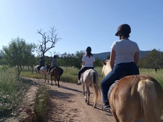  Erkunden Sie die Wege Ibizas zu Pferd 