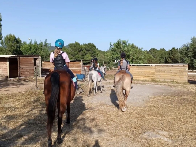 Reitrouten auf Ibiza 