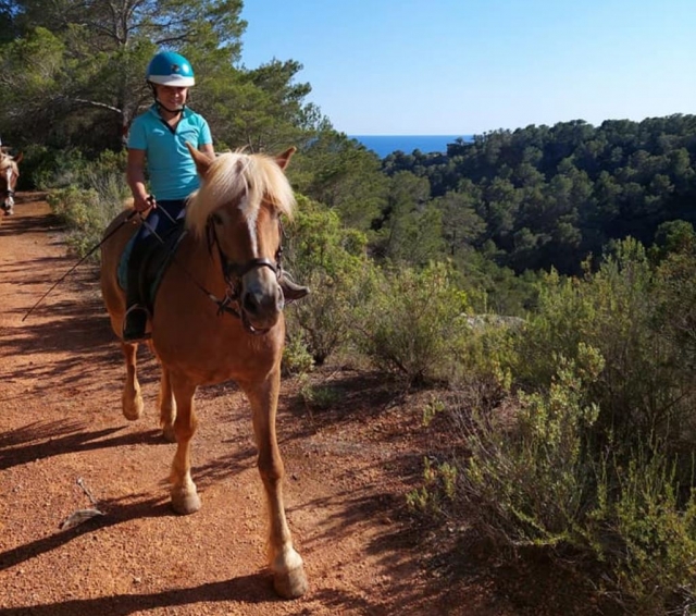  Ibiza zu Pferd kennenlernen 