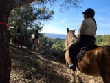 Ruta a caballo romántica vistas al mar, Porroig 1h