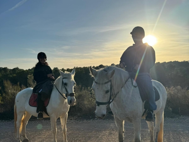  Equestrian activities in Ibiza