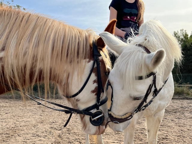Romantic Equestrian Experience in Ibiza 