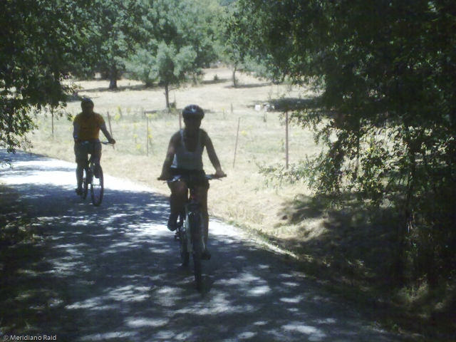 Geführte Mountainbike-Route 