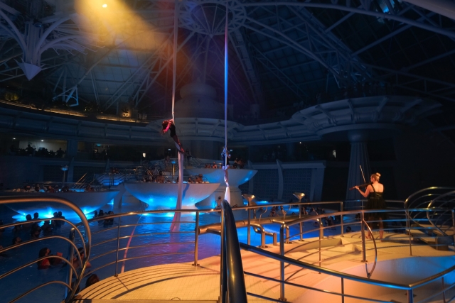  In Caldea there are also night shows 