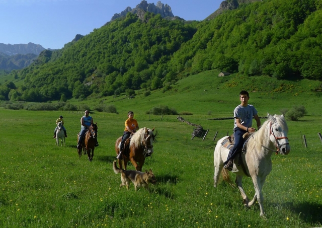 A caballo por el prado verde