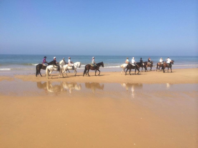 A cavallo sulla riva di Donana 