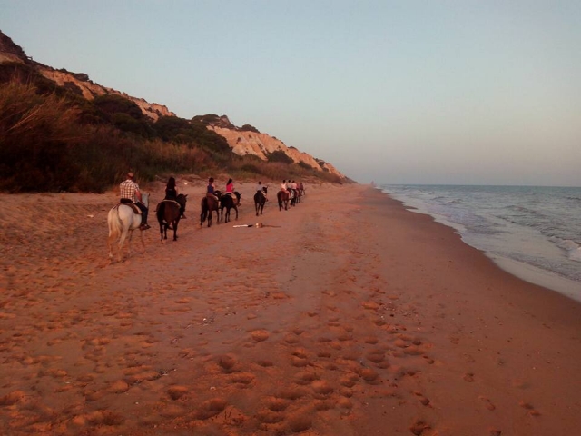  Cavalli in riva al mare 