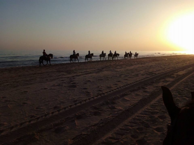  Passeggiata a cavallo 