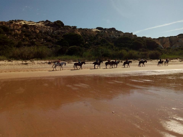  Itinerario a cavallo lungo la costa