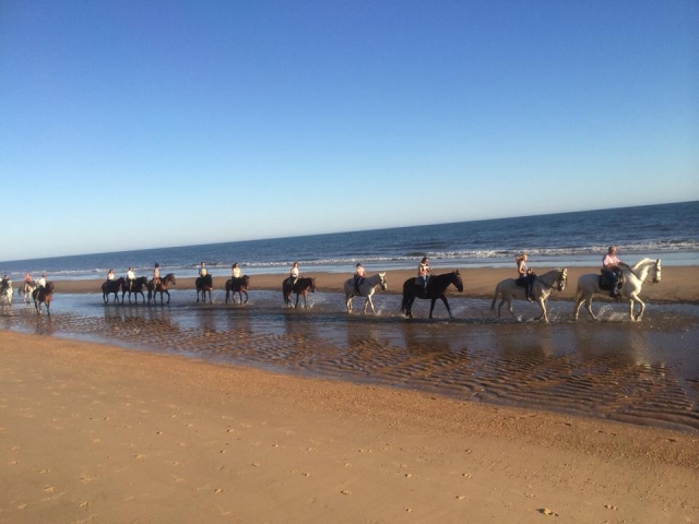  In a line bordering the beach