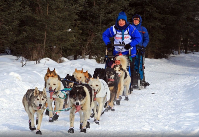 rota de mushing em andorra grandvalira 