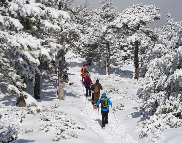 Raquetas de nieve en Guadarrama 4h