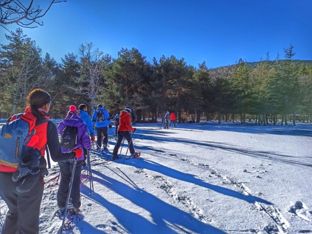 Travesía en raquetas por terrenos nevados