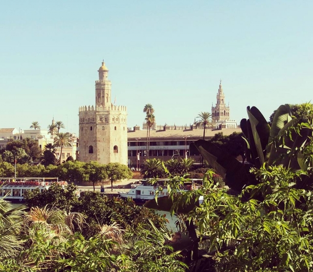  Torre del Oro 