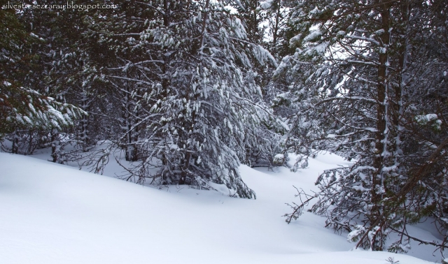 Valdezcaray snowshoes 