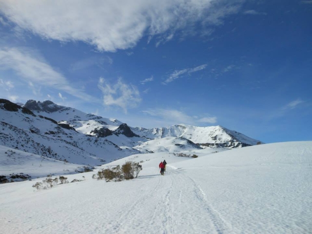  paysage enneigé 