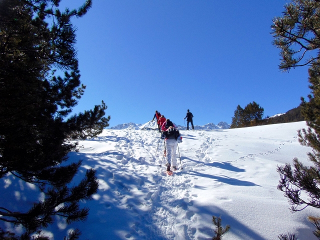  Schneeschuhwanderung 