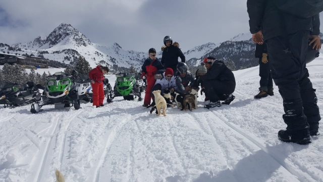  Journée neige en famille avec nos huskies
