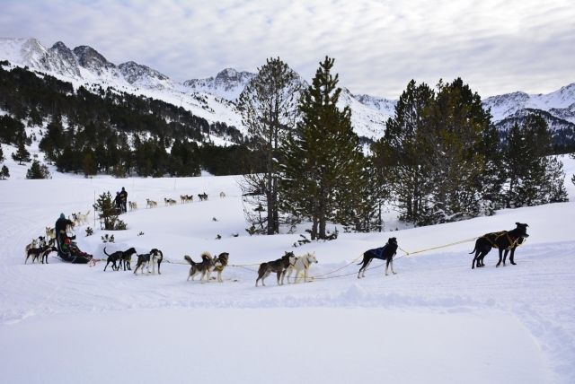  Parcours Mushing à Grandvalira 