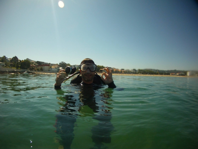  diving 