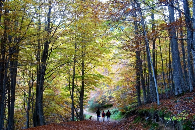 Percurso pedestre pela Sierra de la Demanda 